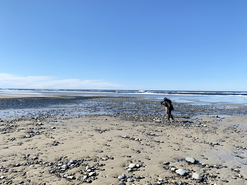 A couple walking the beach on the Central Oregon Coast hunting for agates.