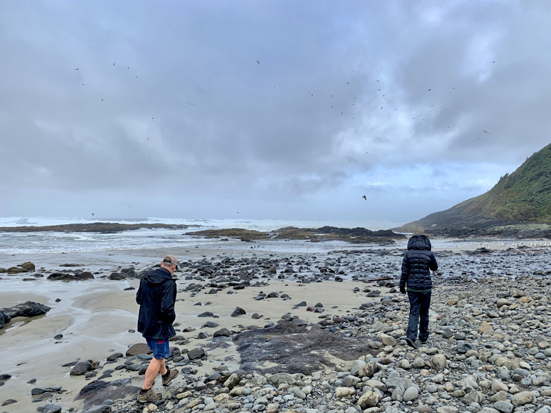 Beachcombing for agates near Yachats at Stoney Field beach.