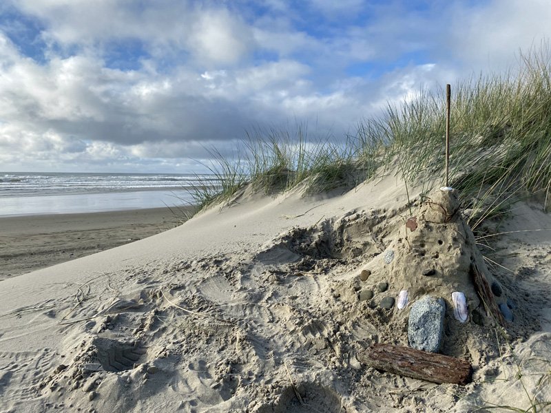 sandcastle beachcombing finds on waldport beach