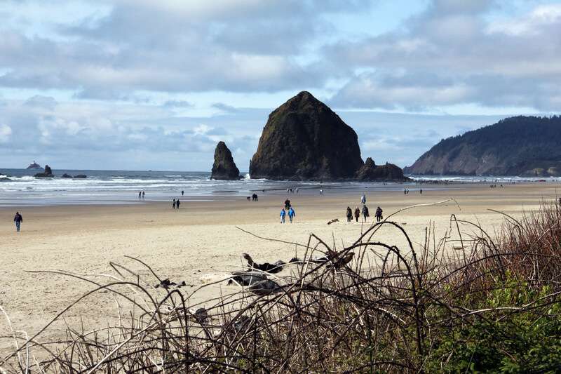 People walking the beach and beachcombing at Haystack Rock in Cannon Beach.