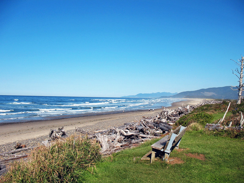 Bench at Cape Meares beach grassy area, clear blue sky, driftwood along the shore.