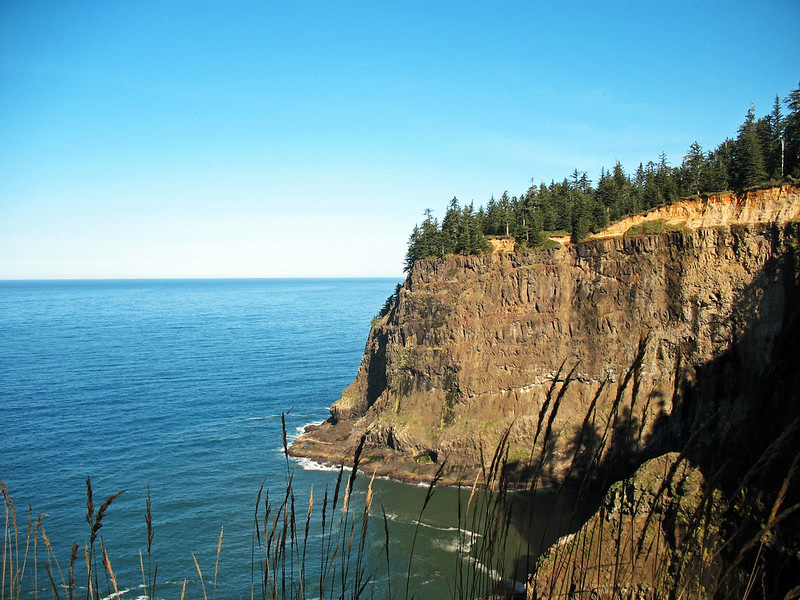 Cape Meares viewpoint on a clear sky day, blue ocean, and dramatic cliff with fir trees.