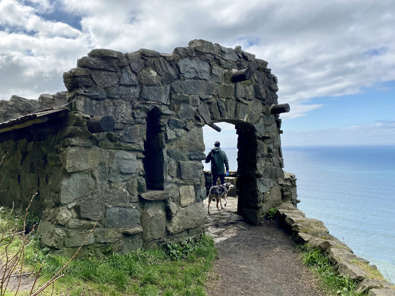 Overlooking the ocean from the Cape Perpetua Trail Head