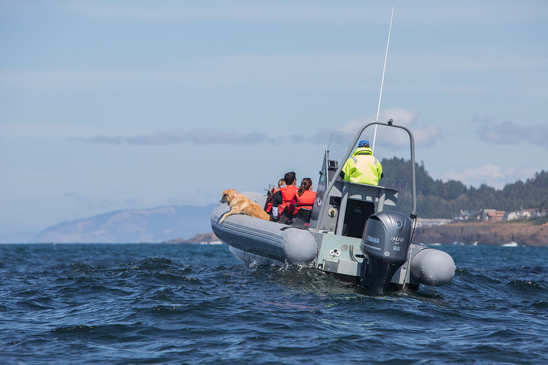 Depoe Bay whale watching charter boat with Fido