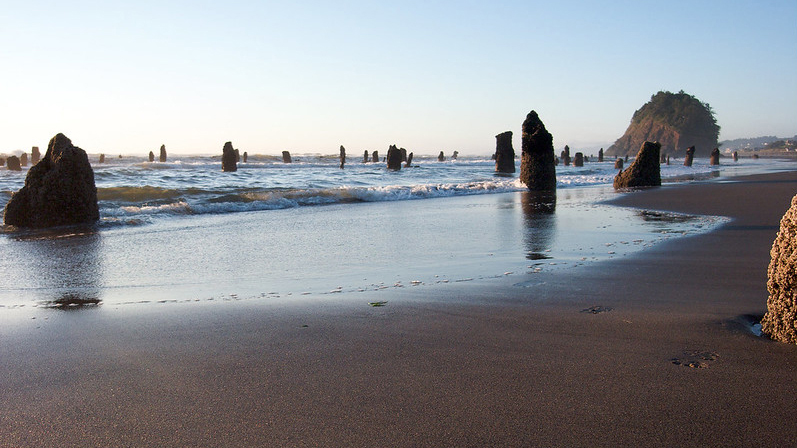 Neskowin Ghost Forest and Proposal Rock in the background.