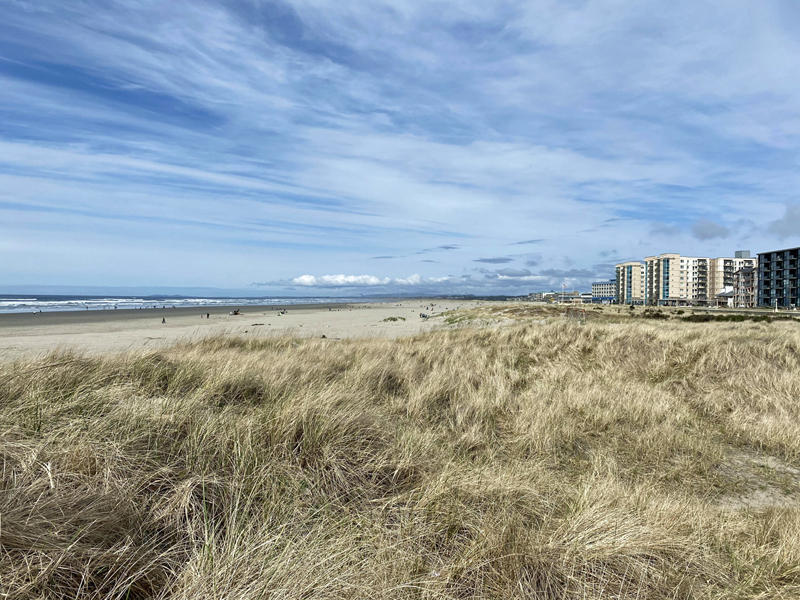 Grassy dunes, cloudy blue sky with clouds, and sandy beach views in Seaside Oregon.