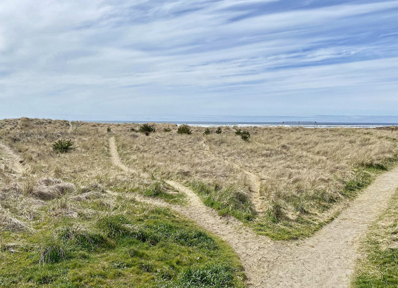 Multiple sandy beach trails leading to the ocean in Seaside, OR.