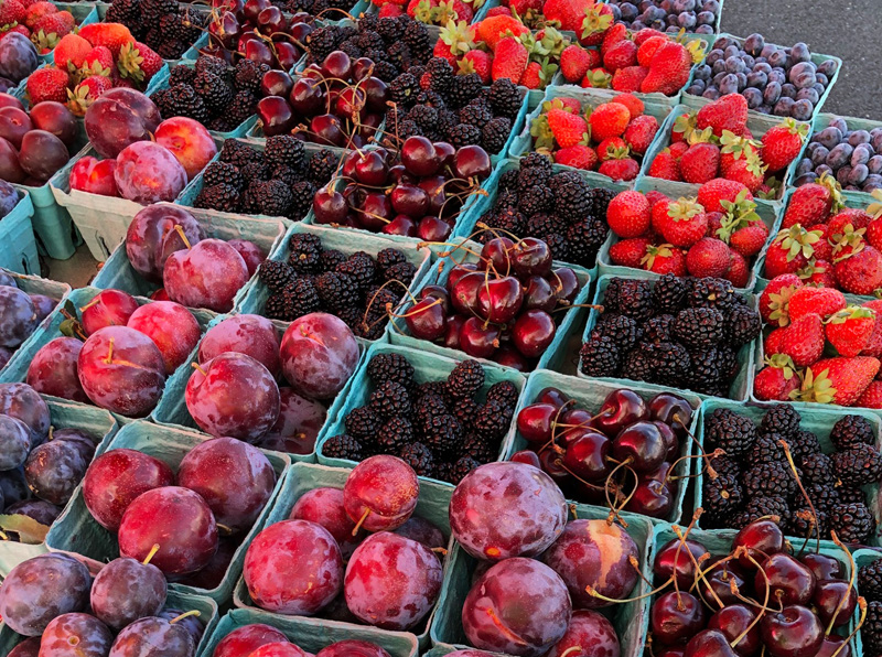 Waldport Wednesday Farmers Market fresh fruits