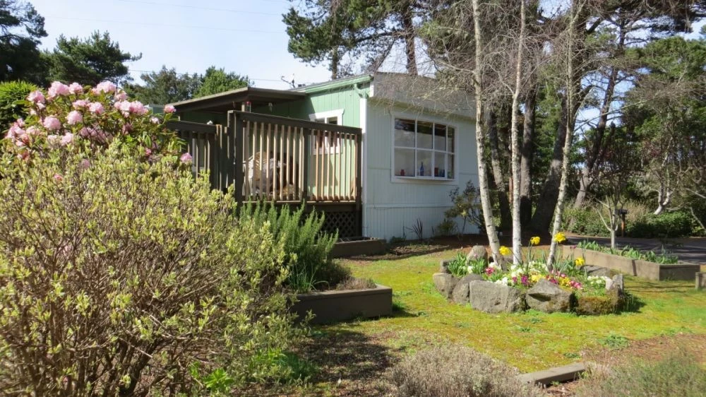 Smugglers Cove Dog Friendly Fenced Yard — photo 4