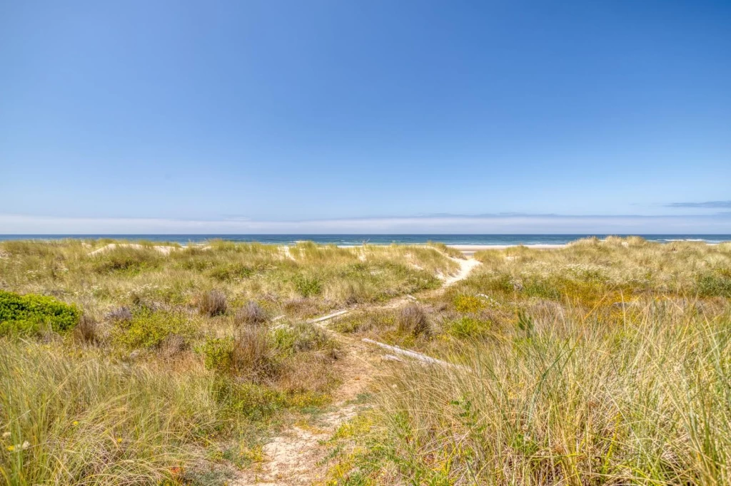 Browne House - Bayshore, Direct Beach Access — photo 4