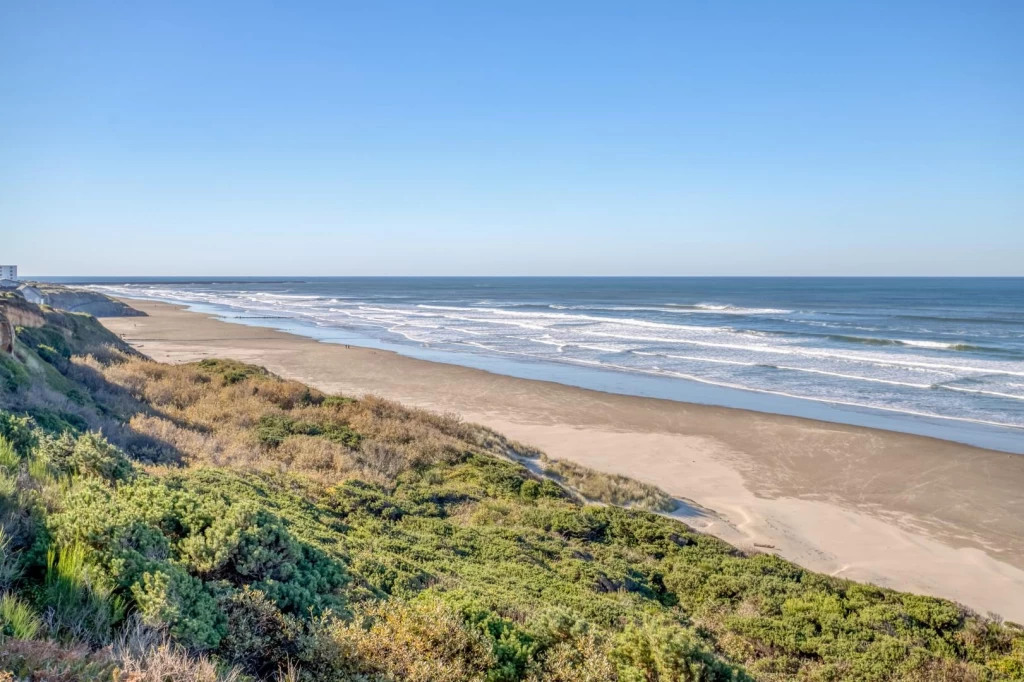 Nye Beach Nest — photo 3