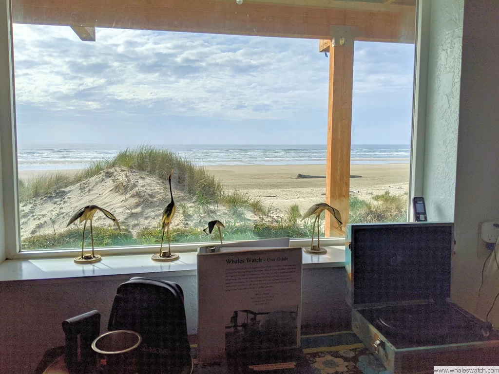 Whales Watch - Beachfront on Heceta Beach — photo 3