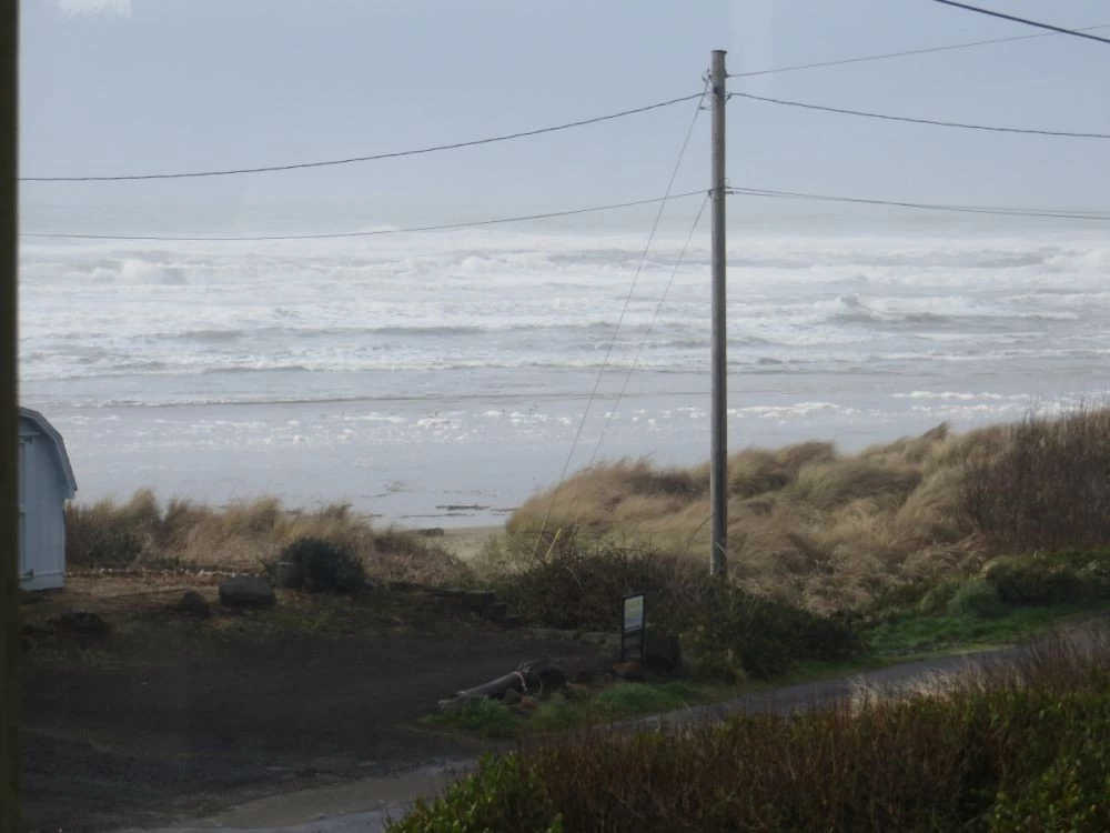 Sea Lion Surf at Heceta Beach