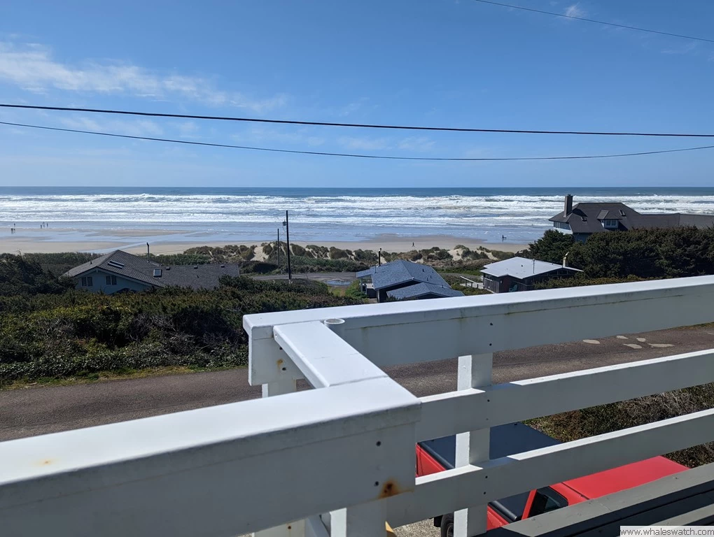 Poseidon's Paradise - Amazing Views of Heceta Beach — photo 2