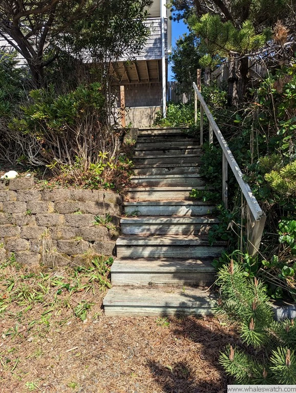 Lighthouse Lookout across the street from Heceta beach — photo 3