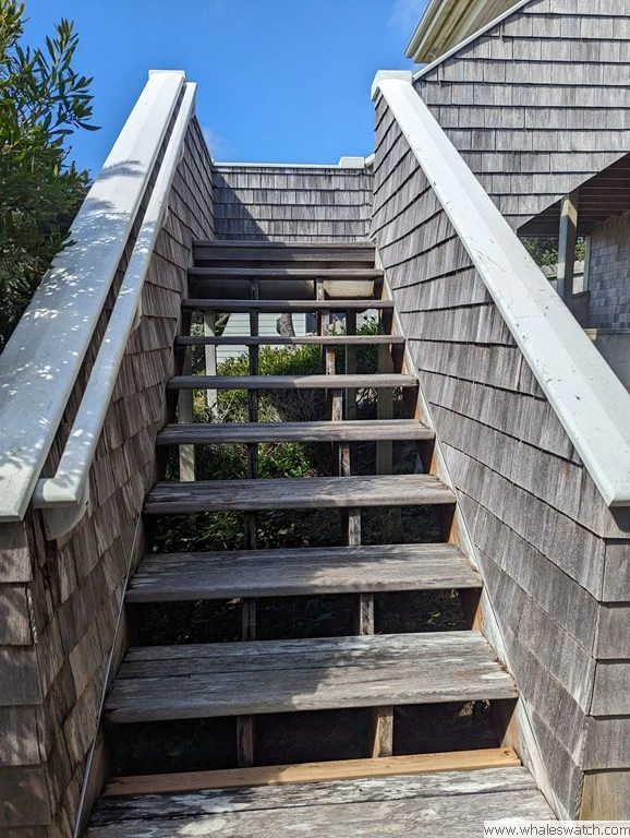Lighthouse Lookout across the street from Heceta beach — photo 4
