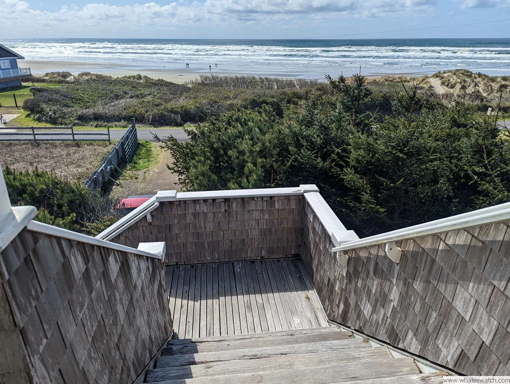 Lighthouse Lookout across the street from Heceta beach — photo 5
