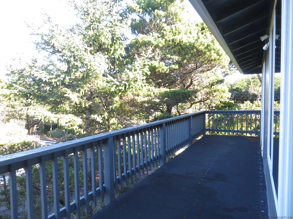 Osprey Pines - Fenced Yard, Dog Friendly — photo 4