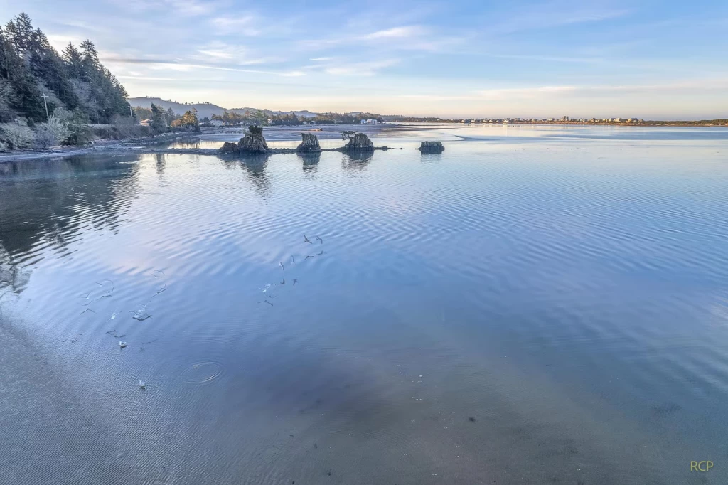 The Bay House on 52nd - Siletz Bay — photo 5