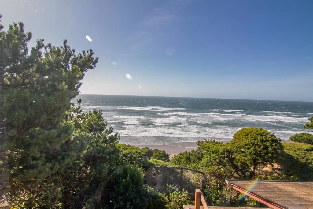 Ocean Watch - Newport — photo 5