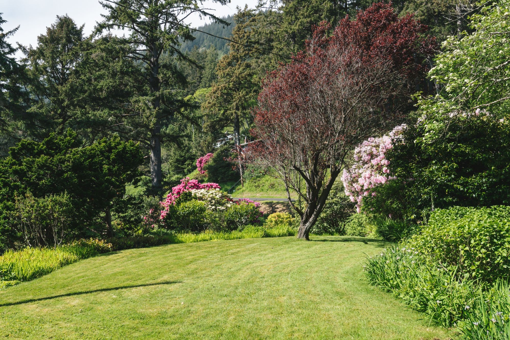 The Purcell House Manzanita, Oregon NW